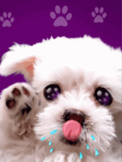 014254.gif